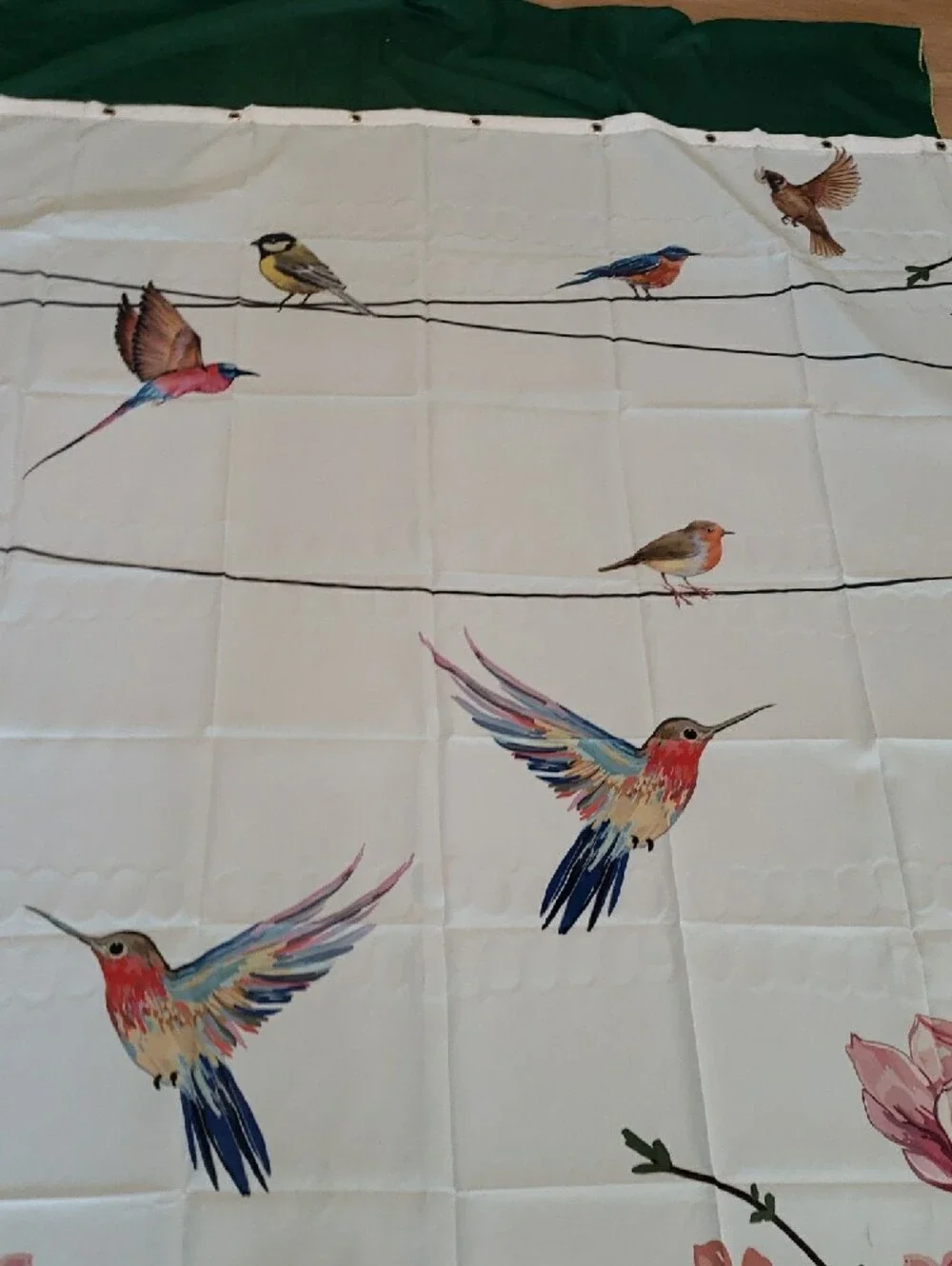 NEW Shower Curtain Allenjoy Pink Floral & Hummingbirds on White & Butterflies